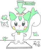 View image: Pachified