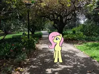 View image: Fluttershy's Walk