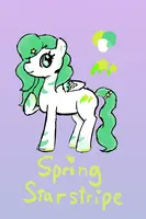 View image: Spring Starstripe Ref