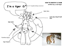 View image: Helpful Guide